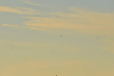 DSC_5702 (Large).JPG